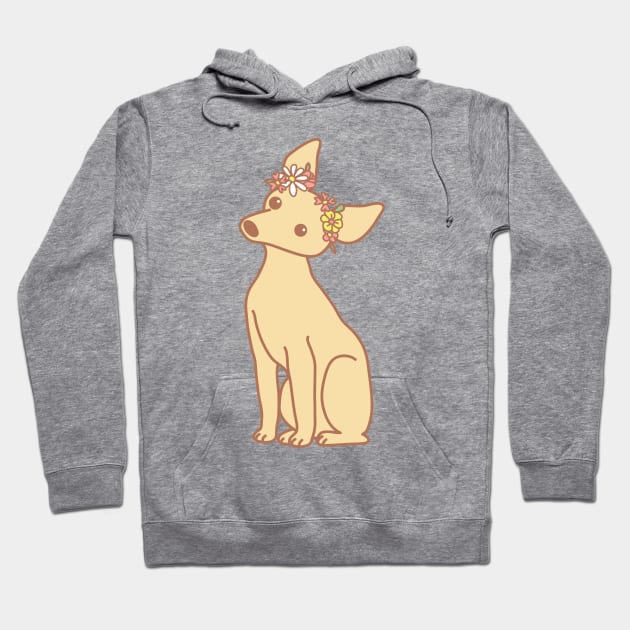 Miniature Pinscher Hoodie by Wlaurence